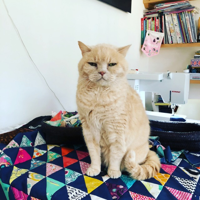 A ginger cat sat on a patchwork quilt next to a sewing machine