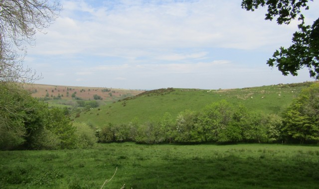 View from her studio