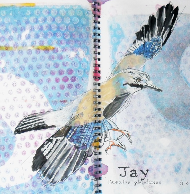 Bird on the notebook