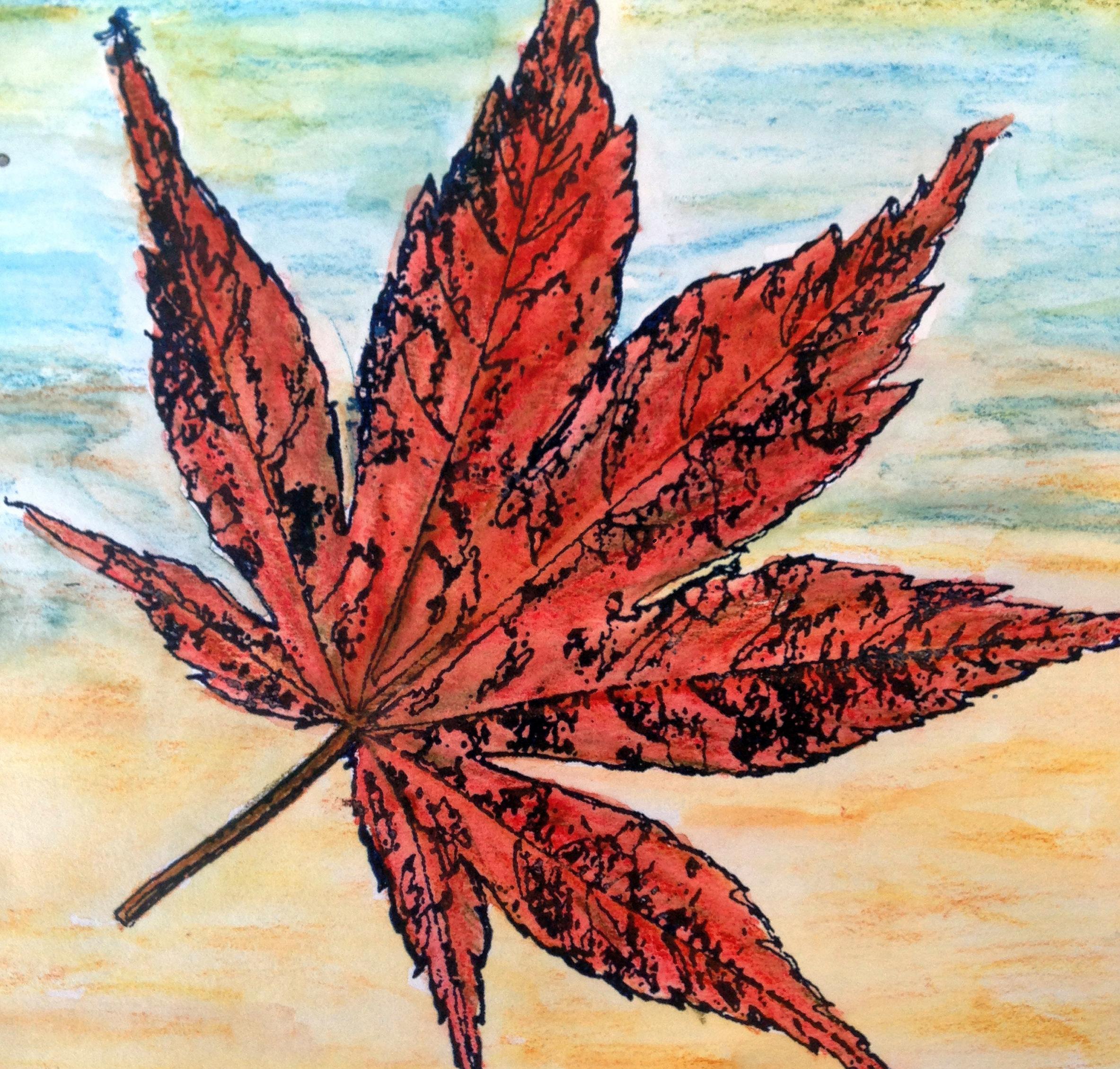 Drawing of a red maple leaf by Gillian Cooper using Thermofax screen and acrylic paint