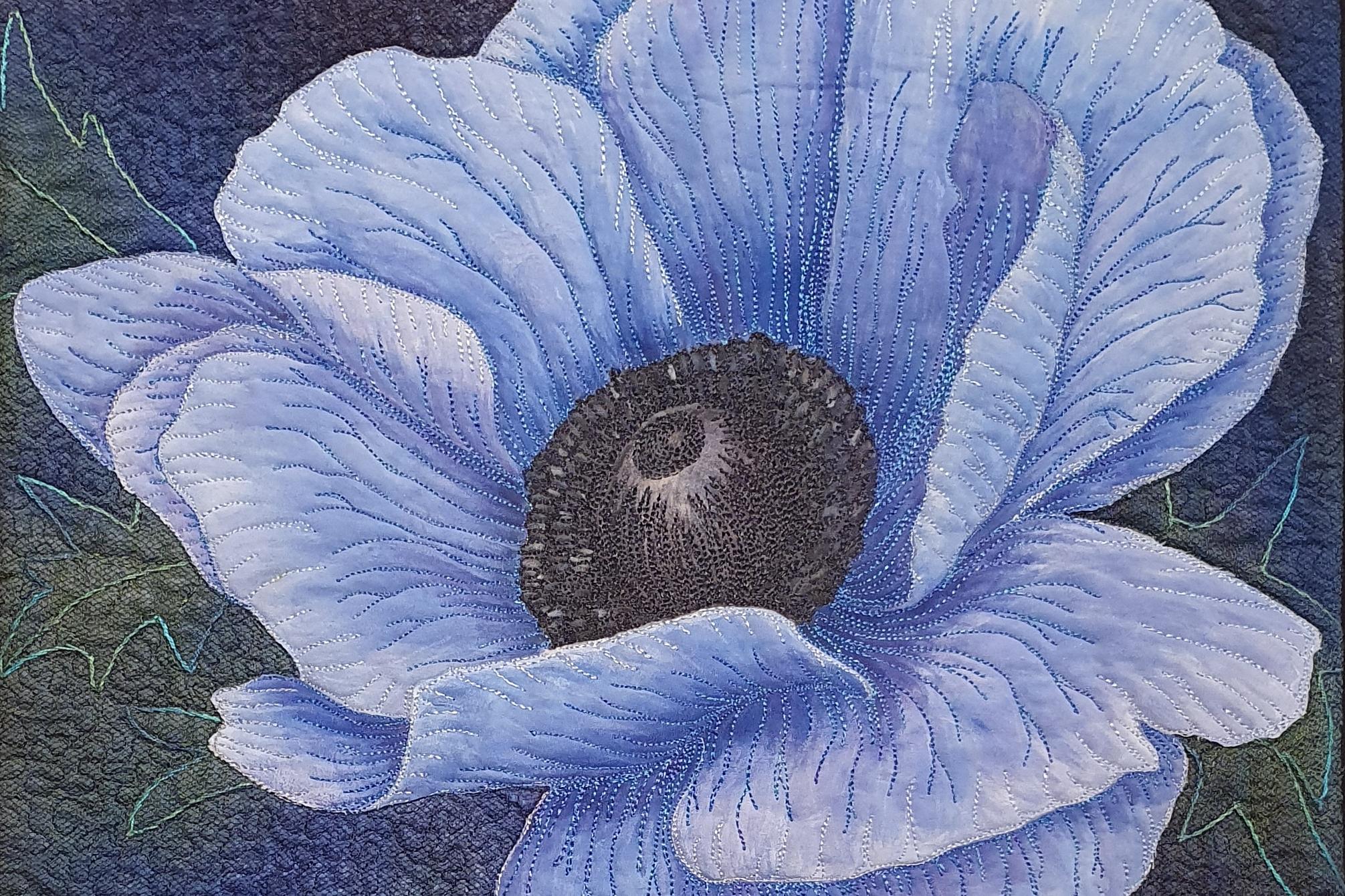 Himalayan Poppy by Lesley Smith
