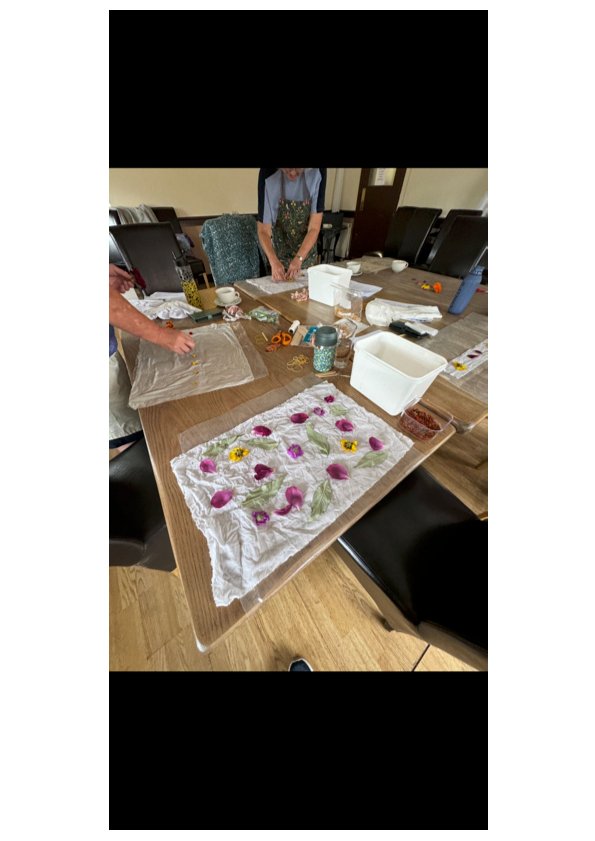 Dyeing with Flower Petals