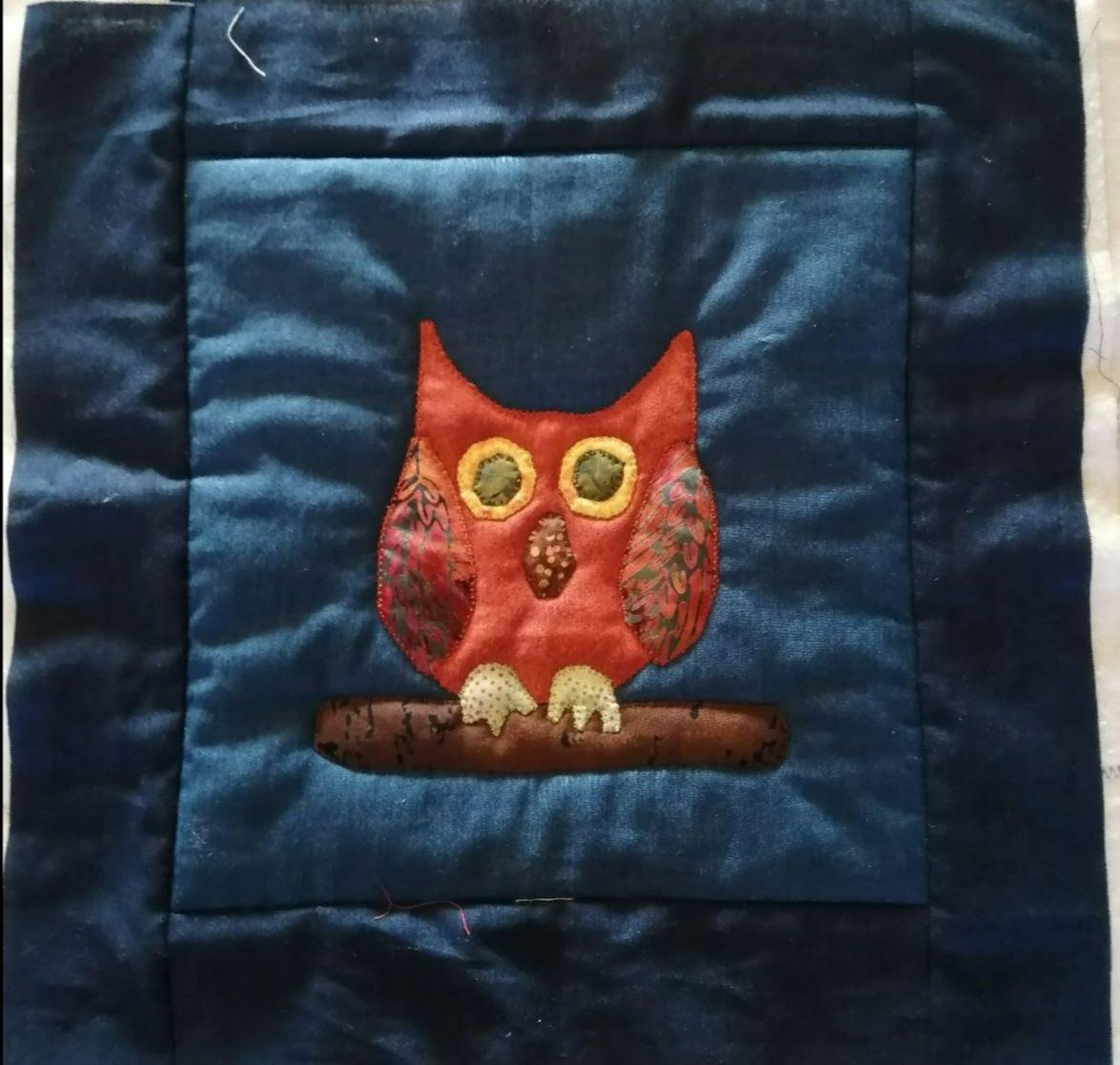judy-owl