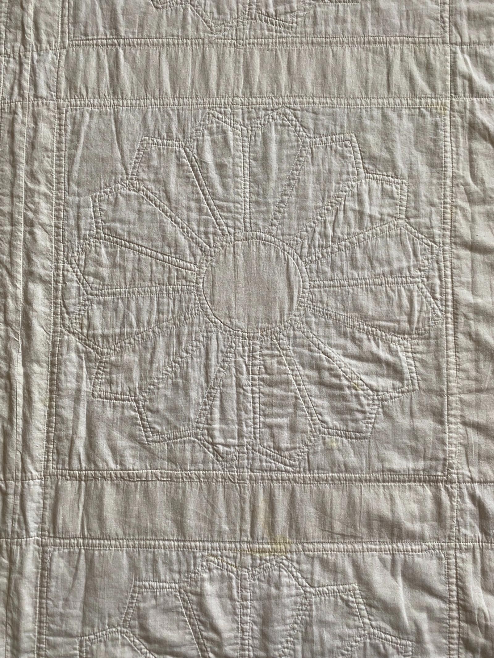 detail of back