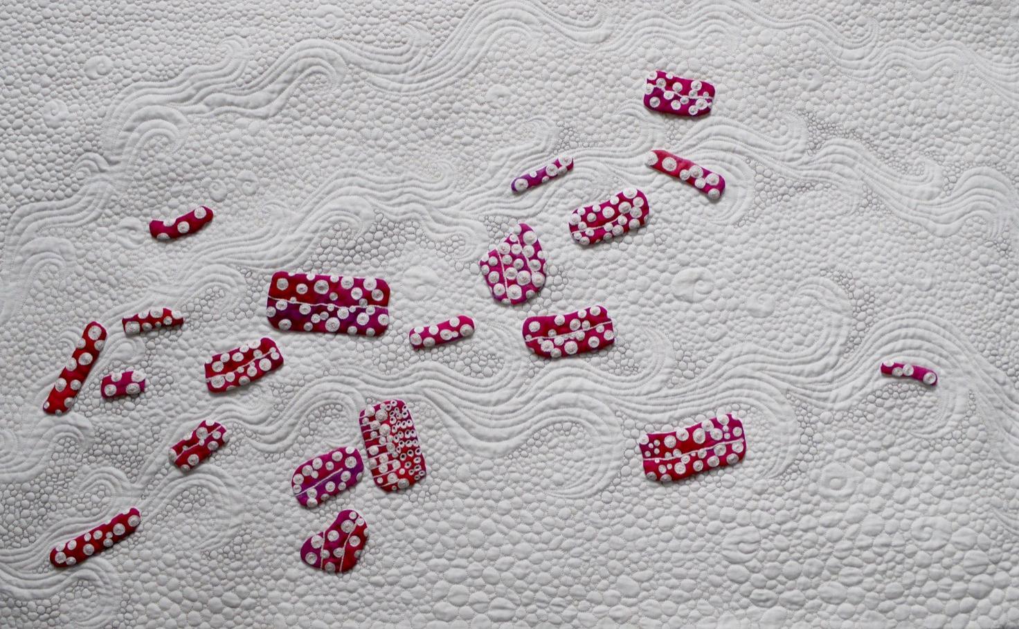 Pippa Wardman - Sea Urchin Fragments