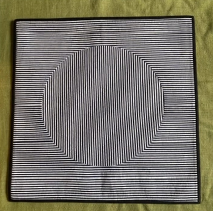 A square quilt with a black and white color scheme. The quilt features a series of concentric squares and circles, creating a mesmerizing optical illusion. The background is quilted with a linear pattern. The quilt has a black border.